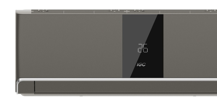 IGC RAS-V09RTF